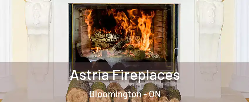  Astria Fireplaces Bloomington - ON