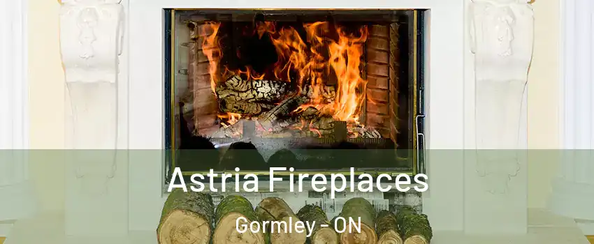  Astria Fireplaces Gormley - ON