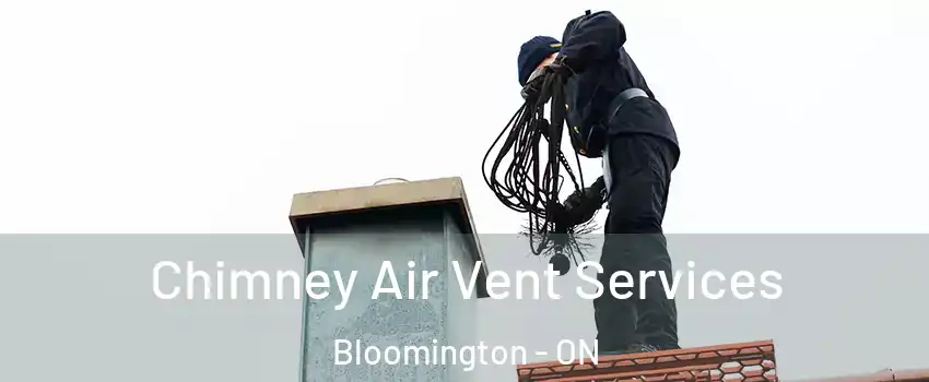  Chimney Air Vent Services Bloomington - ON