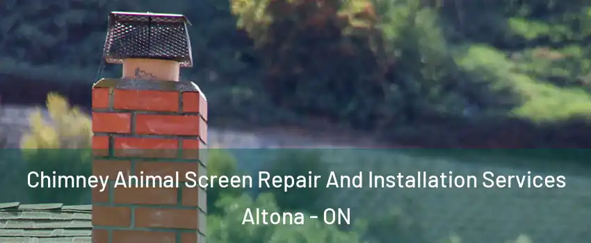  Chimney Animal Screen Repair And Installation Services Altona - ON