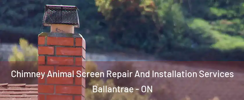  Chimney Animal Screen Repair And Installation Services Ballantrae - ON