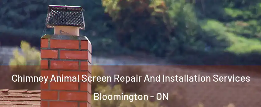  Chimney Animal Screen Repair And Installation Services Bloomington - ON