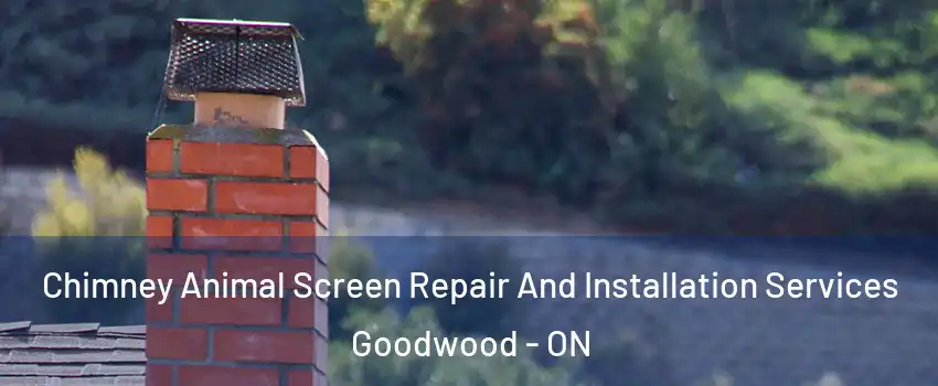  Chimney Animal Screen Repair And Installation Services Goodwood - ON