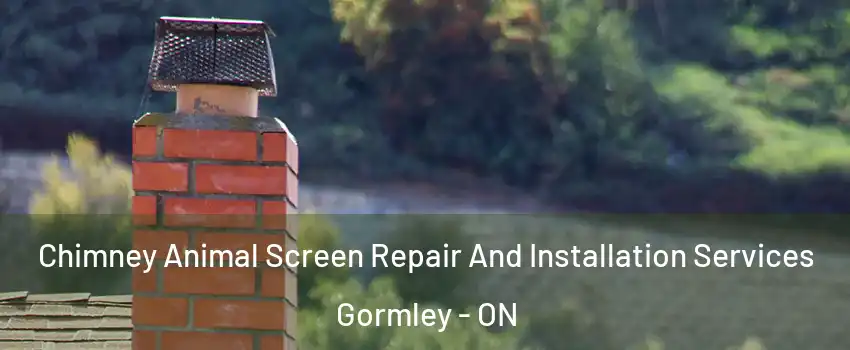 Chimney Animal Screen Repair And Installation Services Gormley - ON