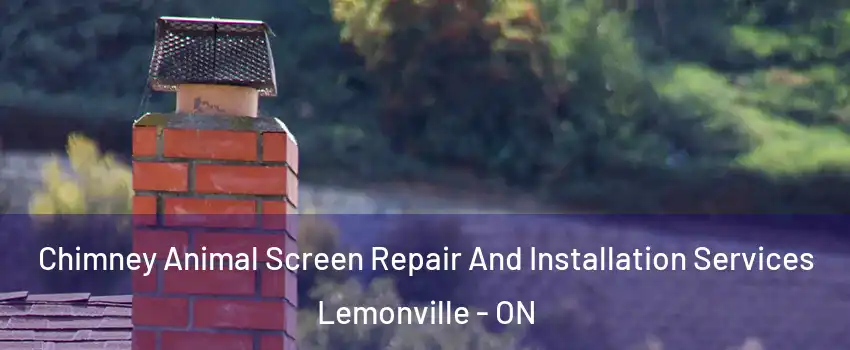  Chimney Animal Screen Repair And Installation Services Lemonville - ON
