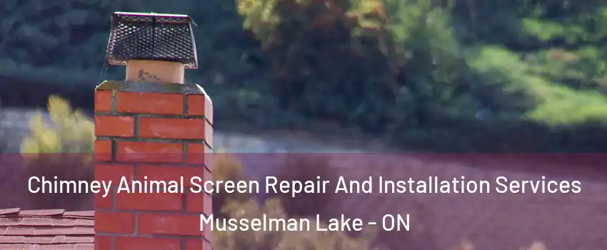  Chimney Animal Screen Repair And Installation Services Musselman Lake - ON