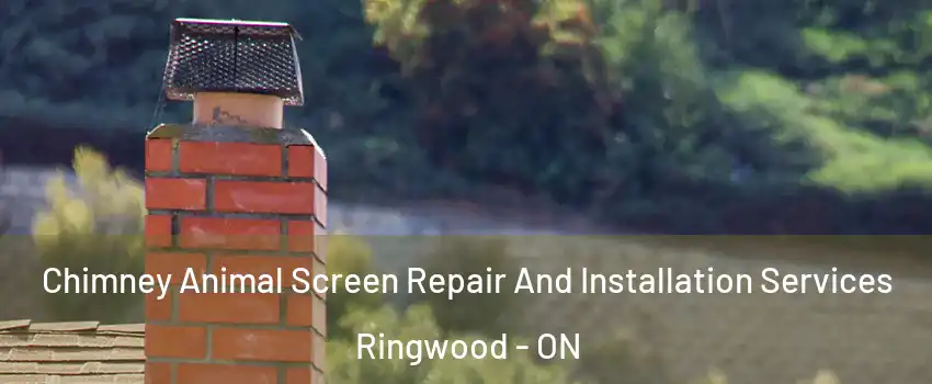  Chimney Animal Screen Repair And Installation Services Ringwood - ON