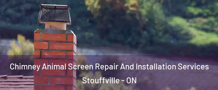 Chimney Animal Screen Repair And Installation Services Stouffville - ON