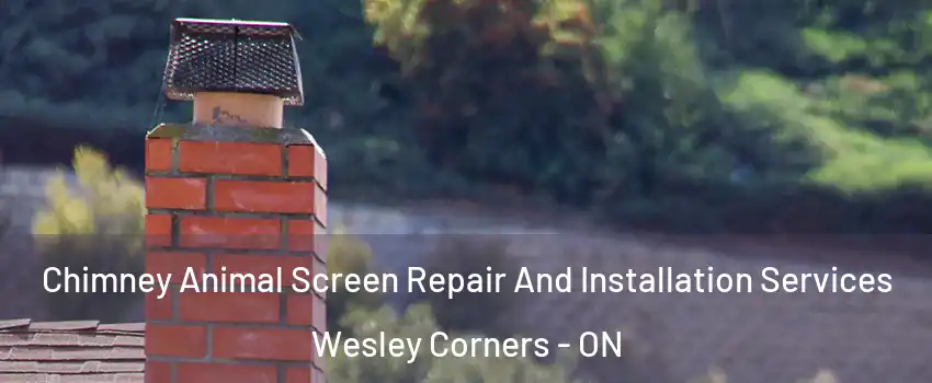  Chimney Animal Screen Repair And Installation Services Wesley Corners - ON