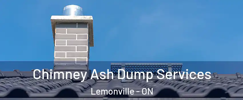  Chimney Ash Dump Services Lemonville - ON