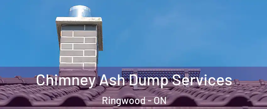  Chimney Ash Dump Services Ringwood - ON
