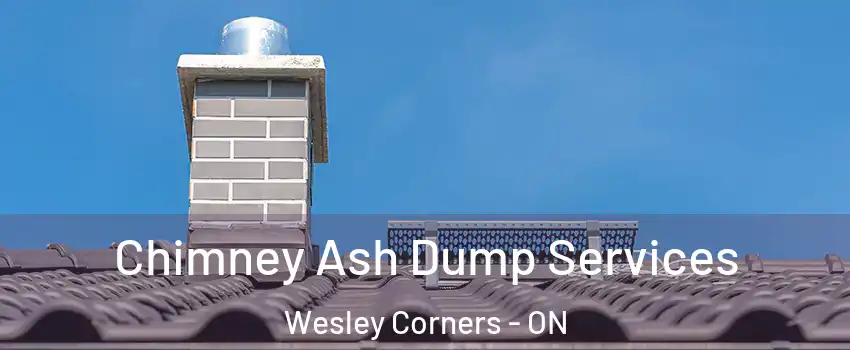  Chimney Ash Dump Services Wesley Corners - ON