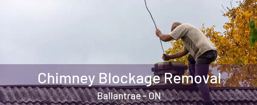  Chimney Blockage Removal Ballantrae - ON