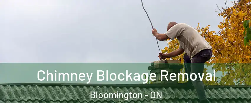 Chimney Blockage Removal Bloomington - ON