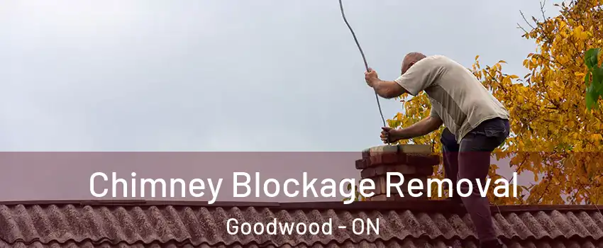 Chimney Blockage Removal Goodwood - ON