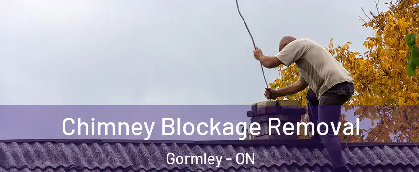  Chimney Blockage Removal Gormley - ON
