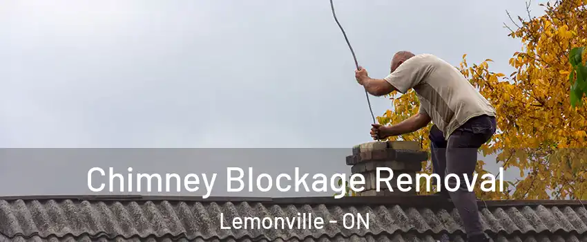  Chimney Blockage Removal Lemonville - ON