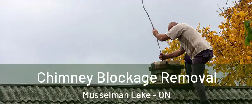  Chimney Blockage Removal Musselman Lake - ON