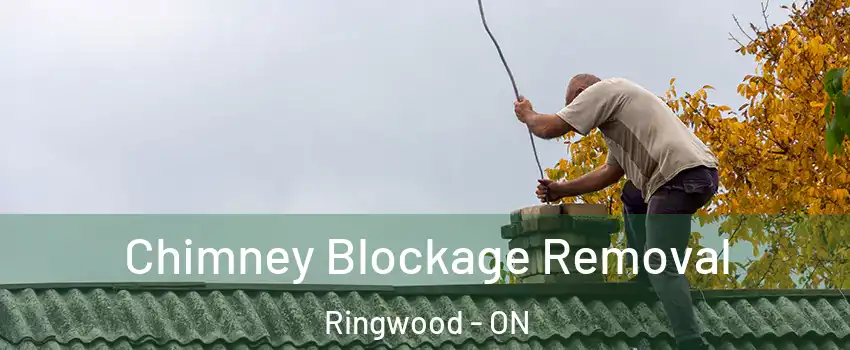  Chimney Blockage Removal Ringwood - ON