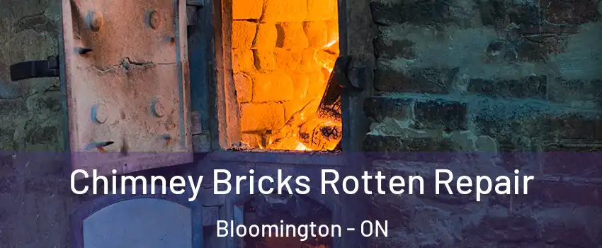  Chimney Bricks Rotten Repair Bloomington - ON