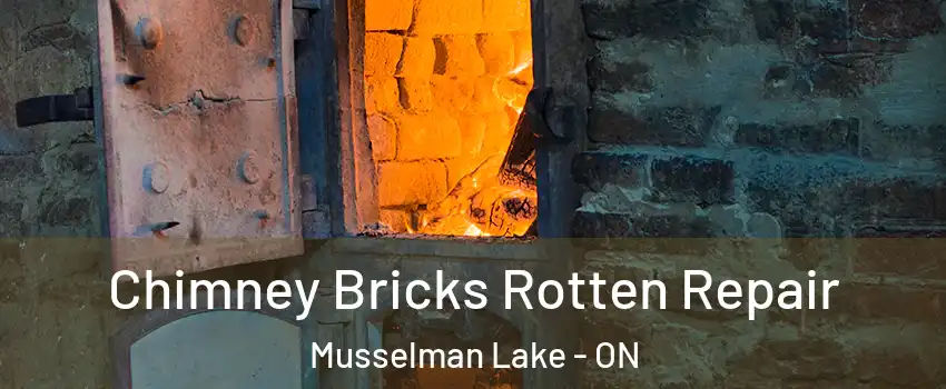  Chimney Bricks Rotten Repair Musselman Lake - ON