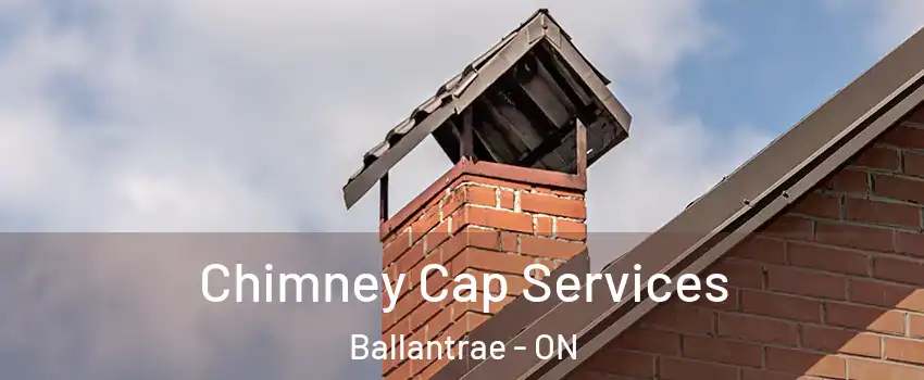  Chimney Cap Services Ballantrae - ON