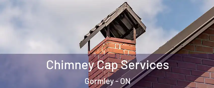  Chimney Cap Services Gormley - ON