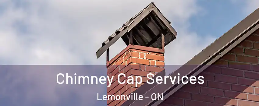  Chimney Cap Services Lemonville - ON