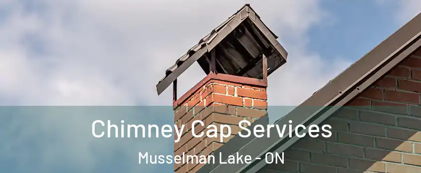  Chimney Cap Services Musselman Lake - ON