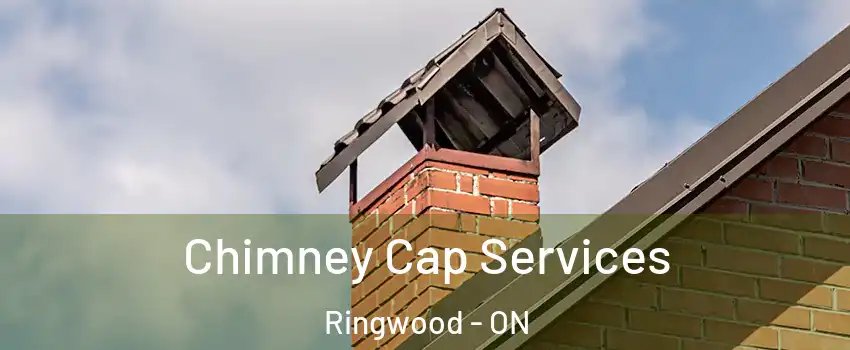  Chimney Cap Services Ringwood - ON