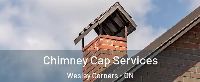  Chimney Cap Services Wesley Corners - ON