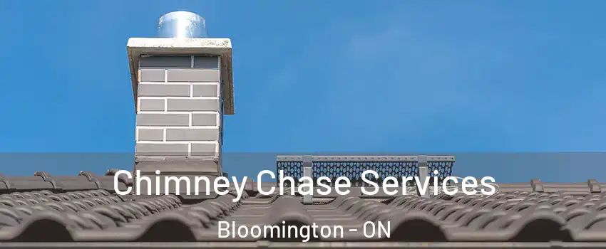  Chimney Chase Services Bloomington - ON