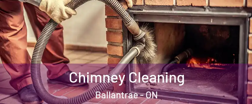  Chimney Cleaning Ballantrae - ON