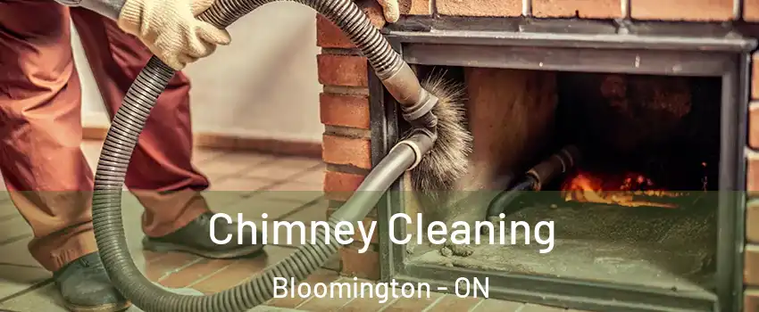  Chimney Cleaning Bloomington - ON