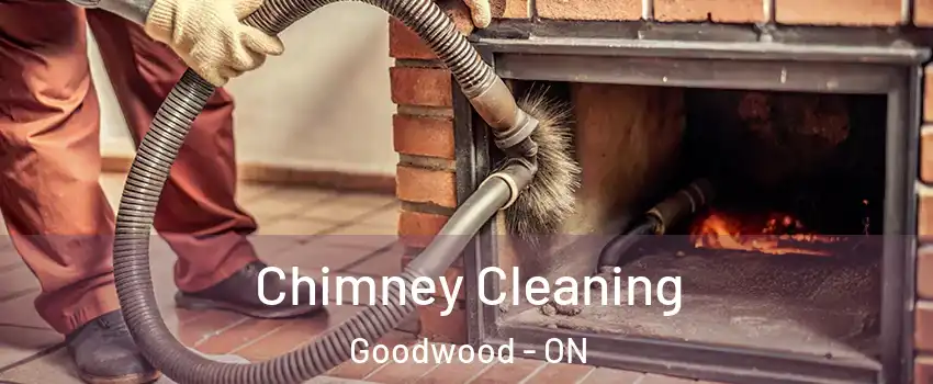 Chimney Cleaning Goodwood - ON
