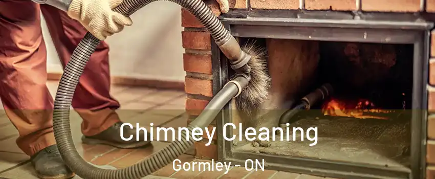  Chimney Cleaning Gormley - ON