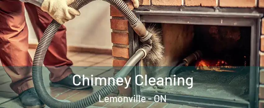  Chimney Cleaning Lemonville - ON