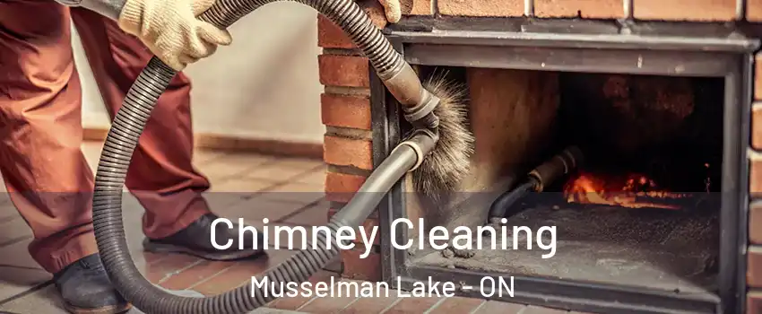  Chimney Cleaning Musselman Lake - ON