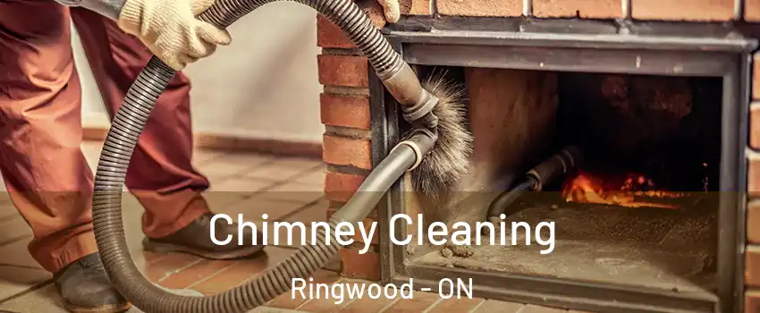  Chimney Cleaning Ringwood - ON