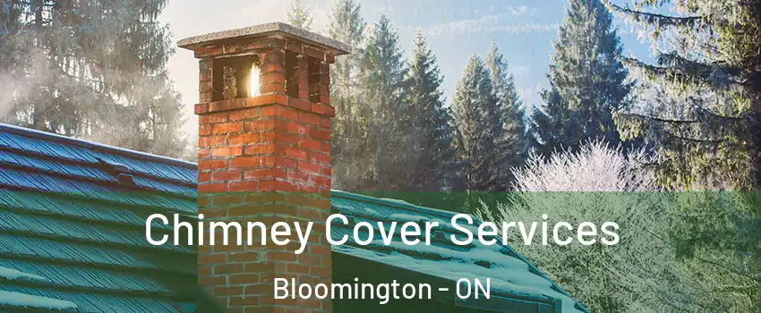  Chimney Cover Services Bloomington - ON