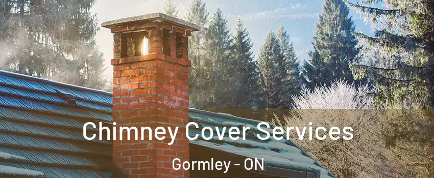  Chimney Cover Services Gormley - ON