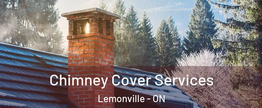  Chimney Cover Services Lemonville - ON