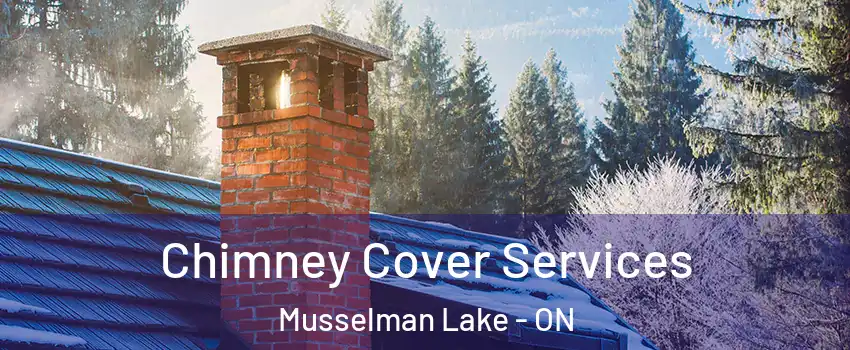  Chimney Cover Services Musselman Lake - ON