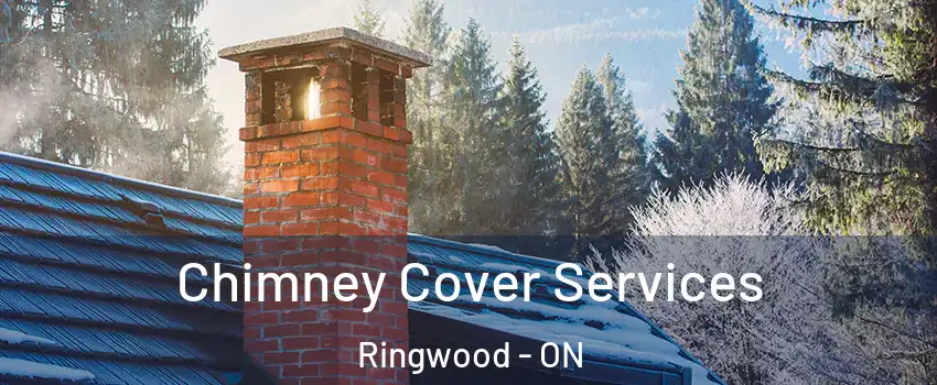  Chimney Cover Services Ringwood - ON