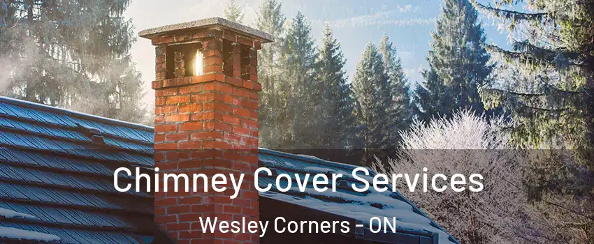  Chimney Cover Services Wesley Corners - ON