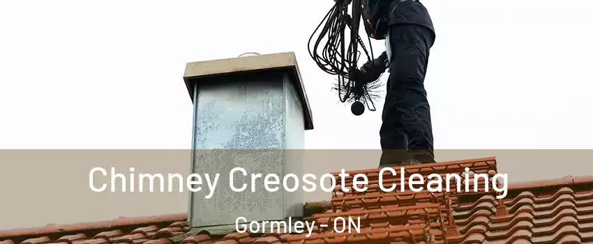 Chimney Creosote Cleaning Gormley - ON