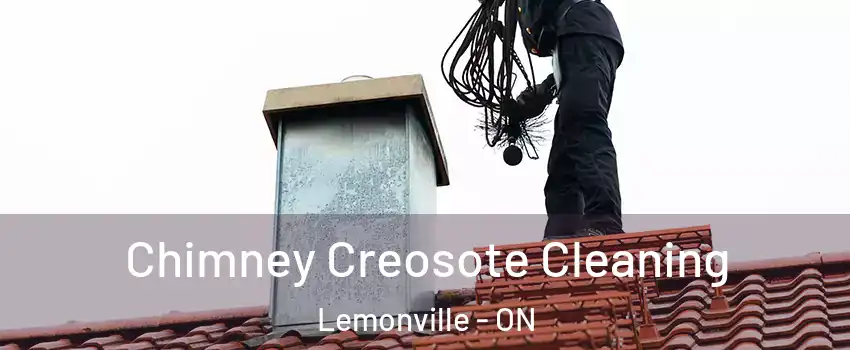 Chimney Creosote Cleaning Lemonville - ON