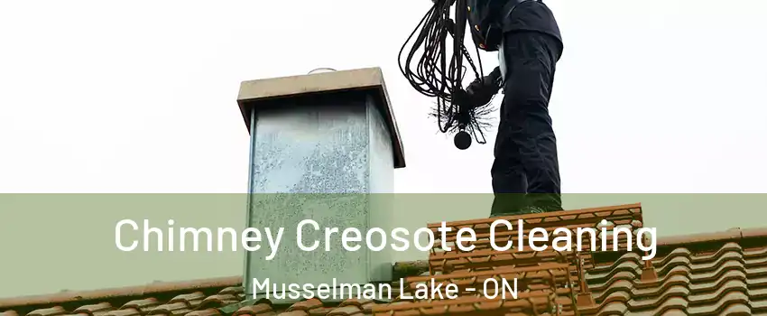  Chimney Creosote Cleaning Musselman Lake - ON