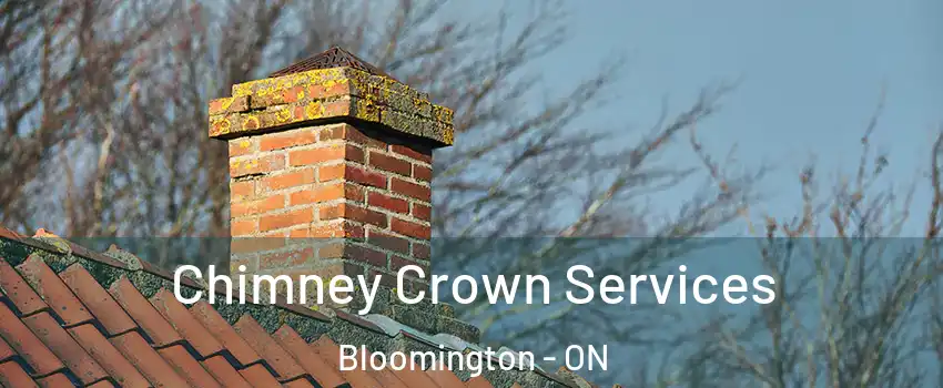  Chimney Crown Services Bloomington - ON
