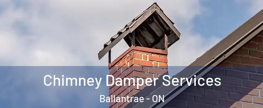  Chimney Damper Services Ballantrae - ON